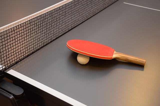 Stół do tenisa stołowego – jak wybrać?